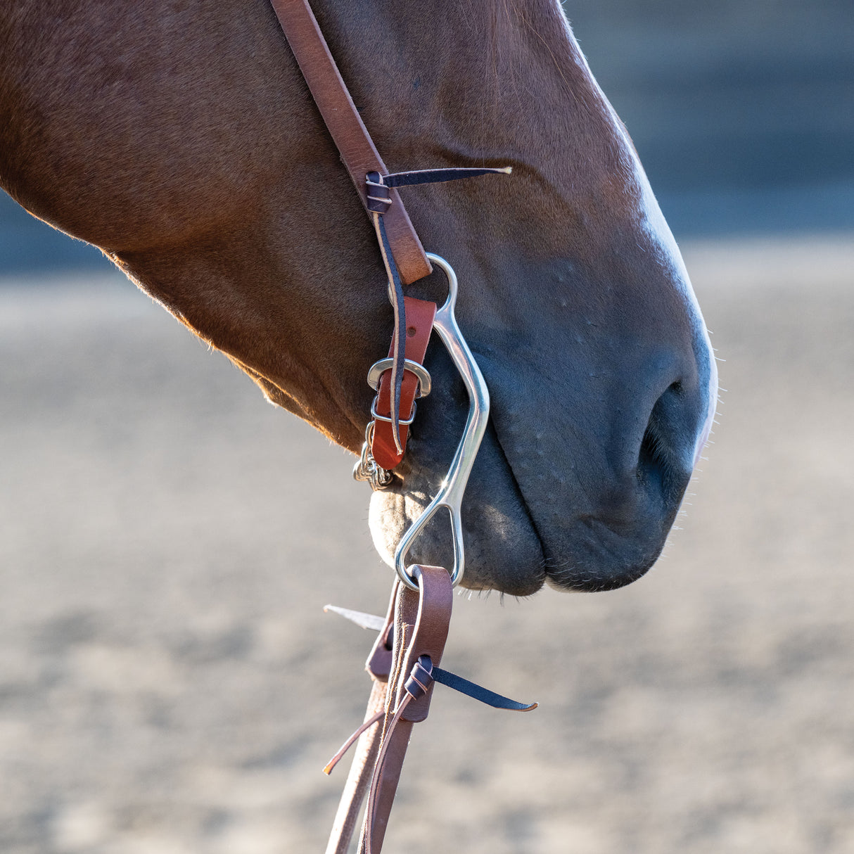 All Purpose Bit, 5-1/2" Medium Port Copper Mouth