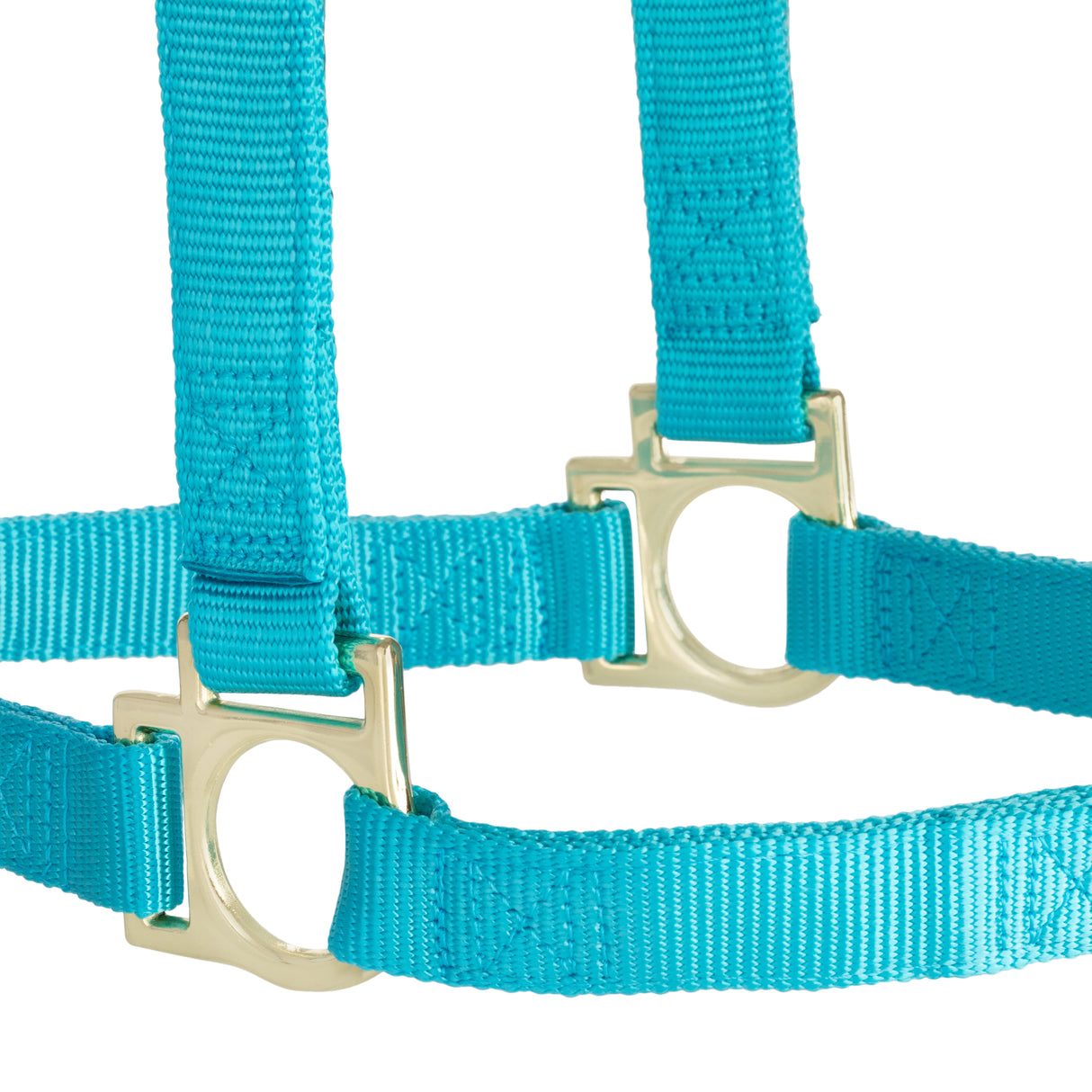 Basic Non-Adjustable Halter