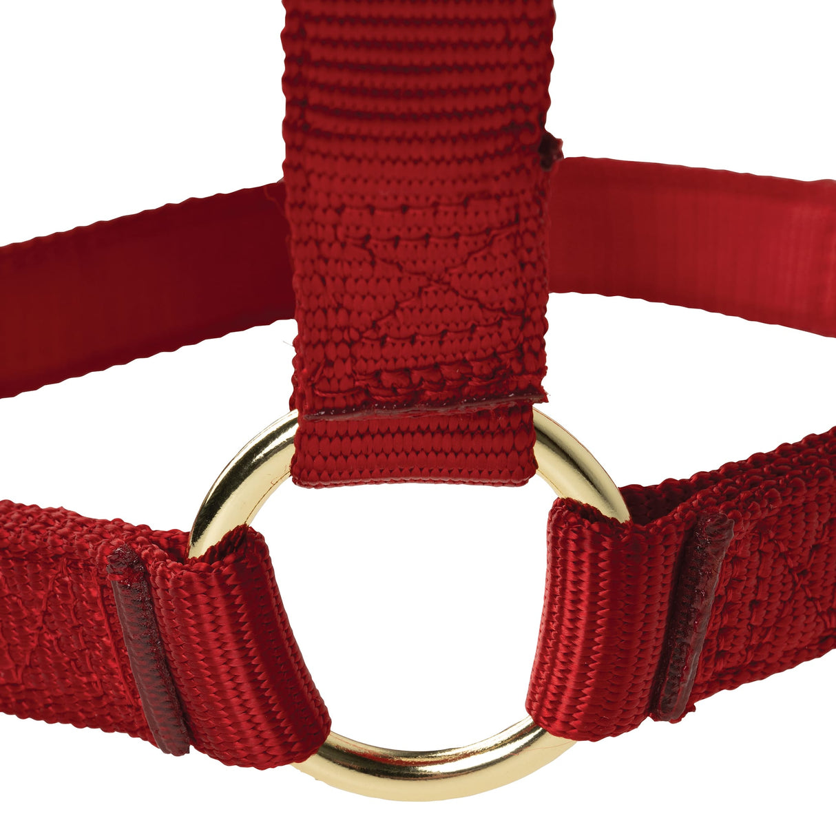 Poly Horse Halter, Non-Adjustable, Weanling to Large