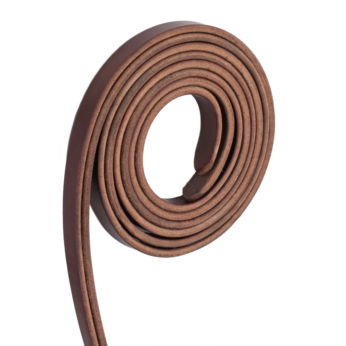 Draft Horse Riding Bridle, Average