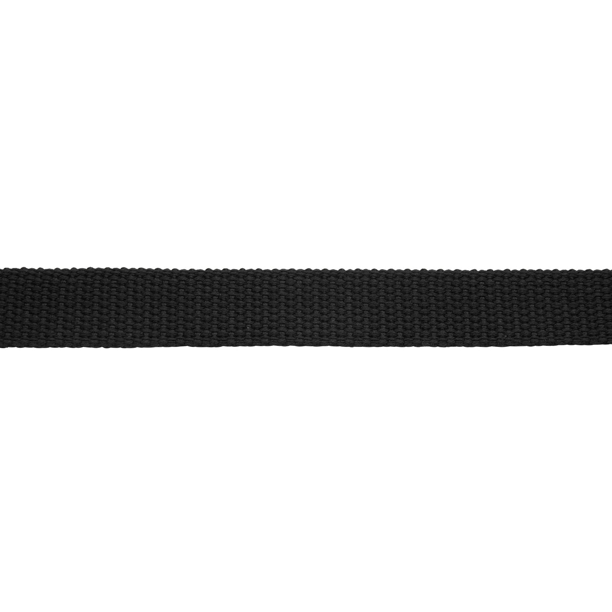 Flat Cotton Lunge Line, 1" x 30 with Nickel