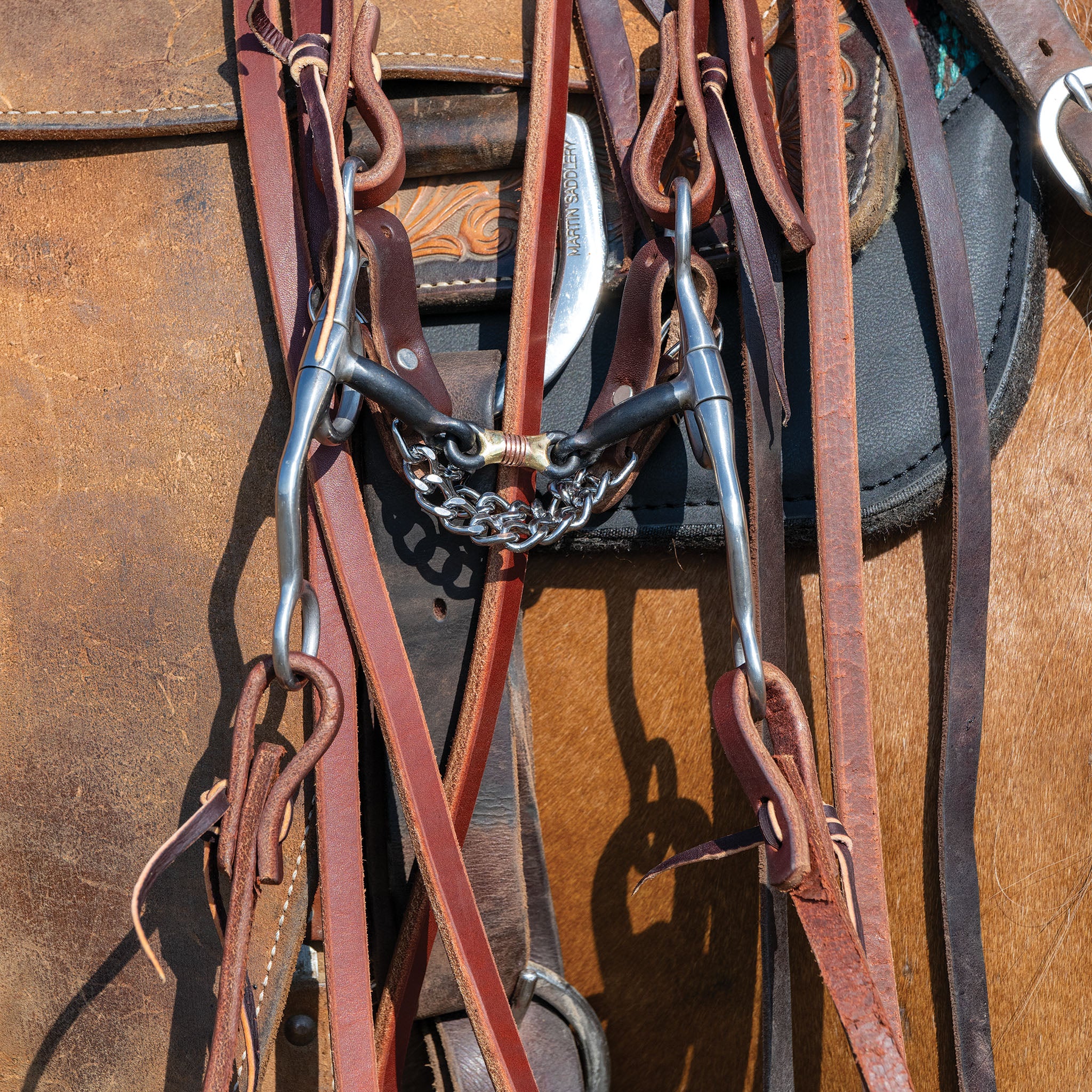 Professional Argentine Bit, 5" Sweet Iron Three-Piece Mouth