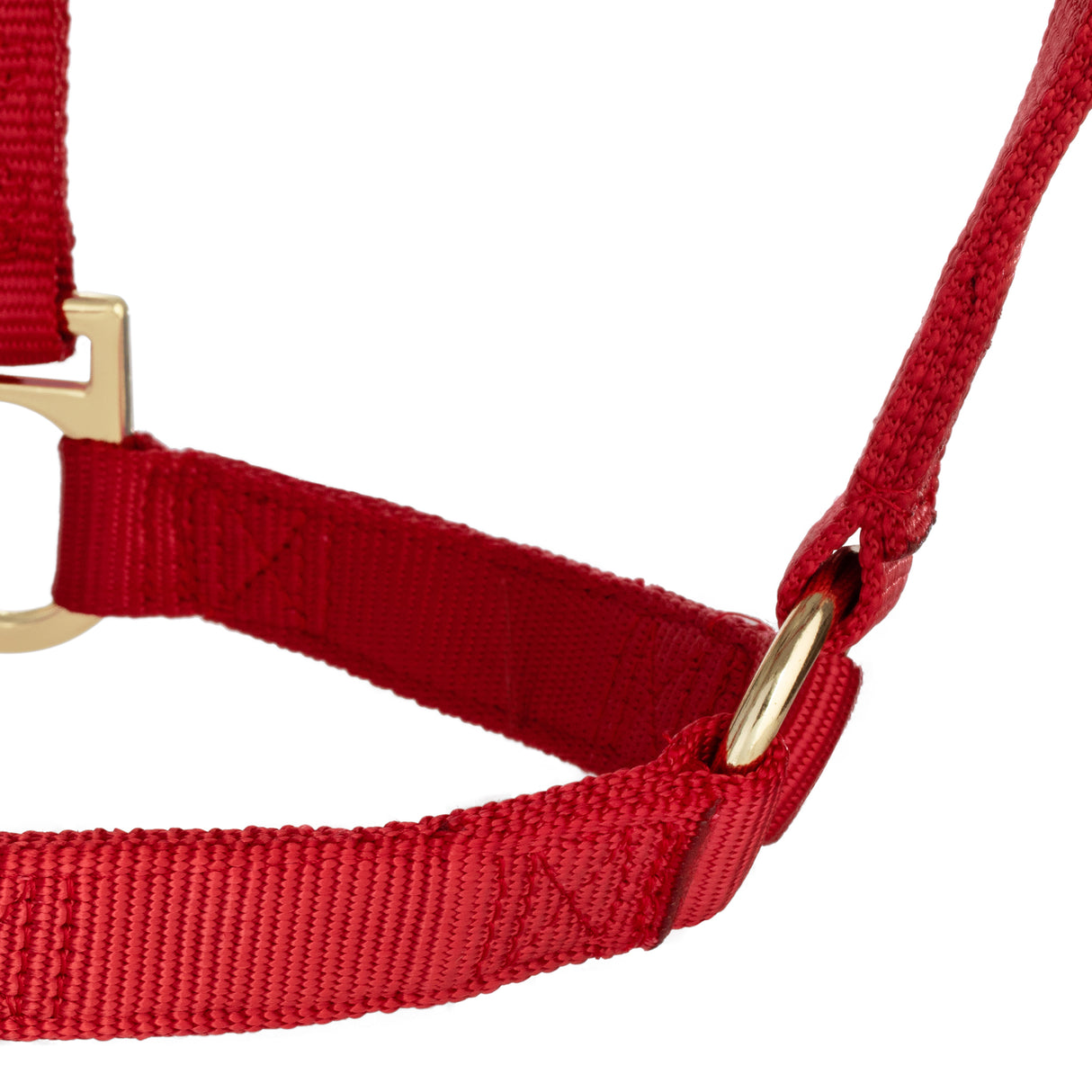 Basic Non-Adjustable Halter