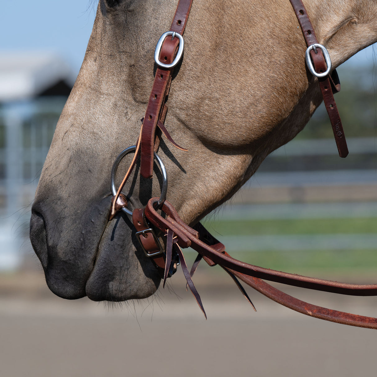 Professional Ring Snaffle Bit, 5" Copper Mouth