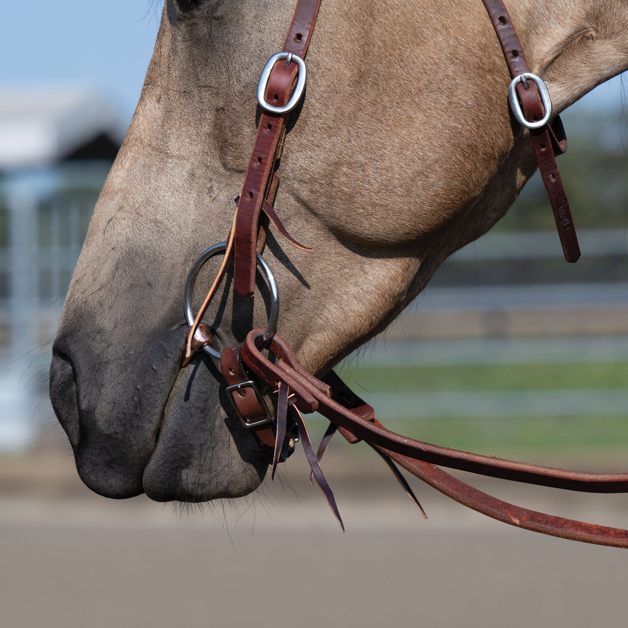 Professional Ring Snaffle Bit, 5" Copper Mouth