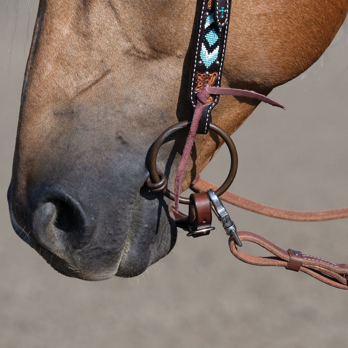 Professional Ring Snaffle Bit, 5" Twisted Curved Mouth