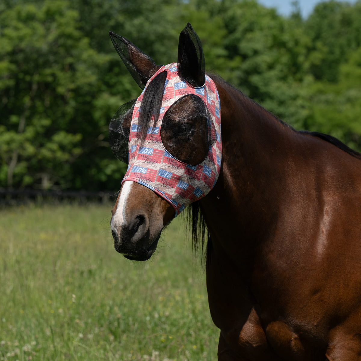 Equine Lycra® Fly Masks Powered by Coolcore®