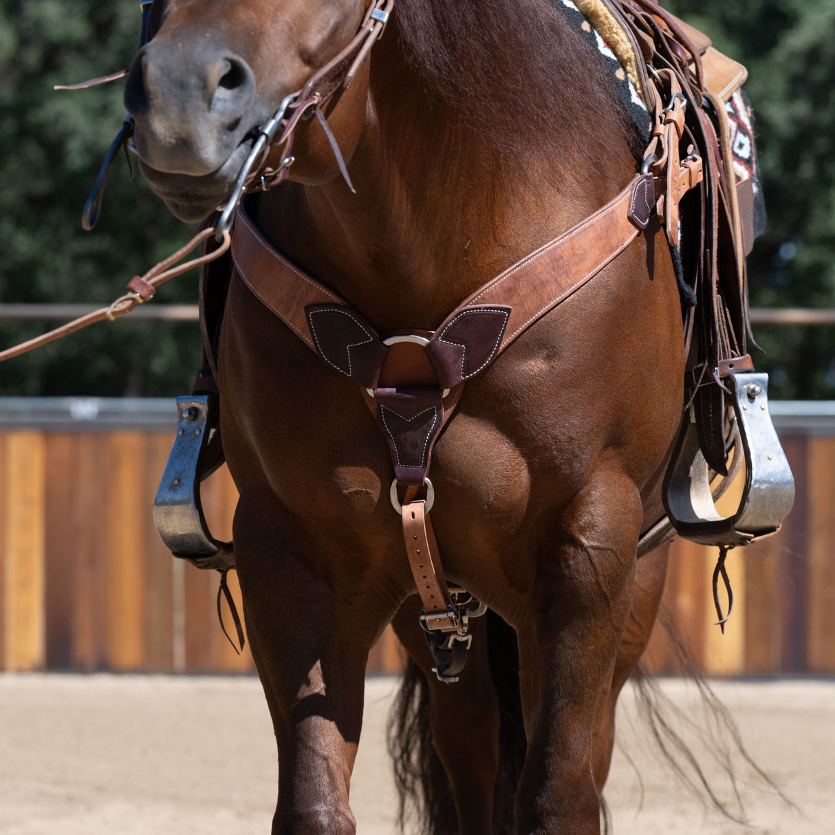 Harness and Latigo Leather Roper Breast Collar