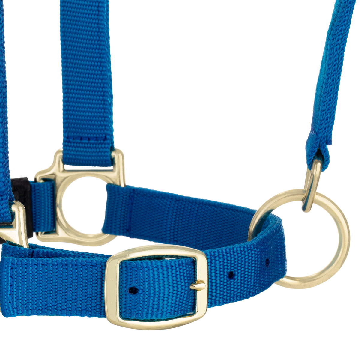 Padded Adjustable Chin and Throat Snap Halter, Solid Colors