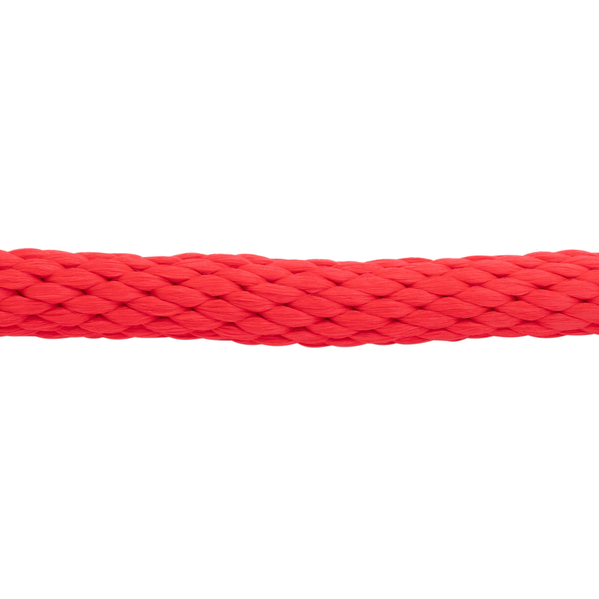 Poly Lead Rope with Brass Plated Swivel Chain