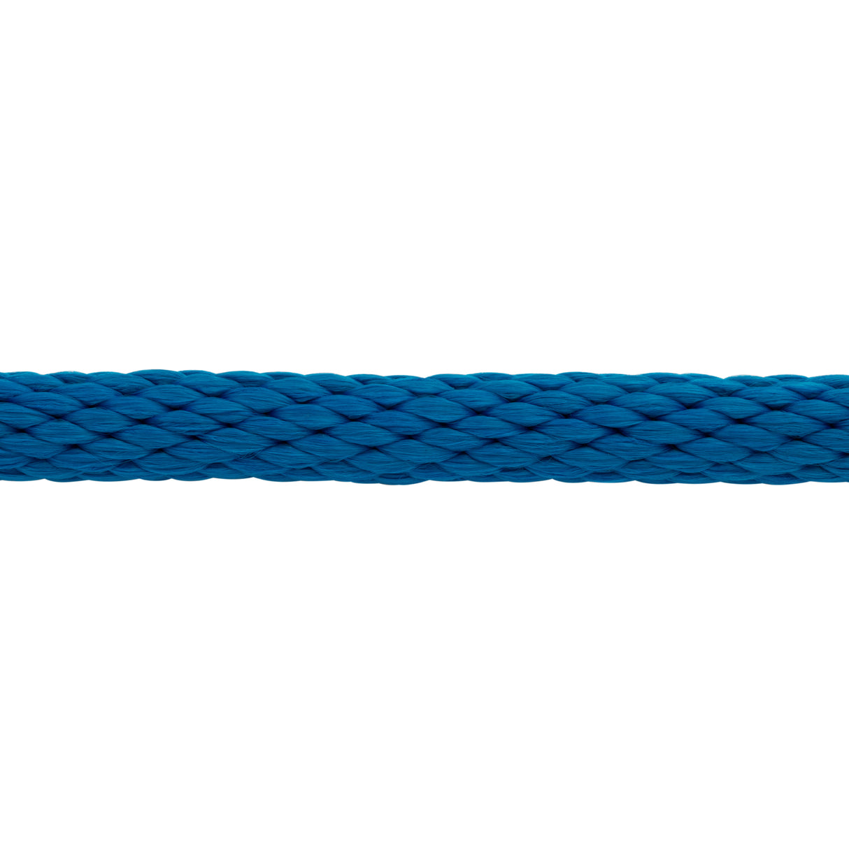 Poly Lead Rope with Nickel Plated Bull Snap