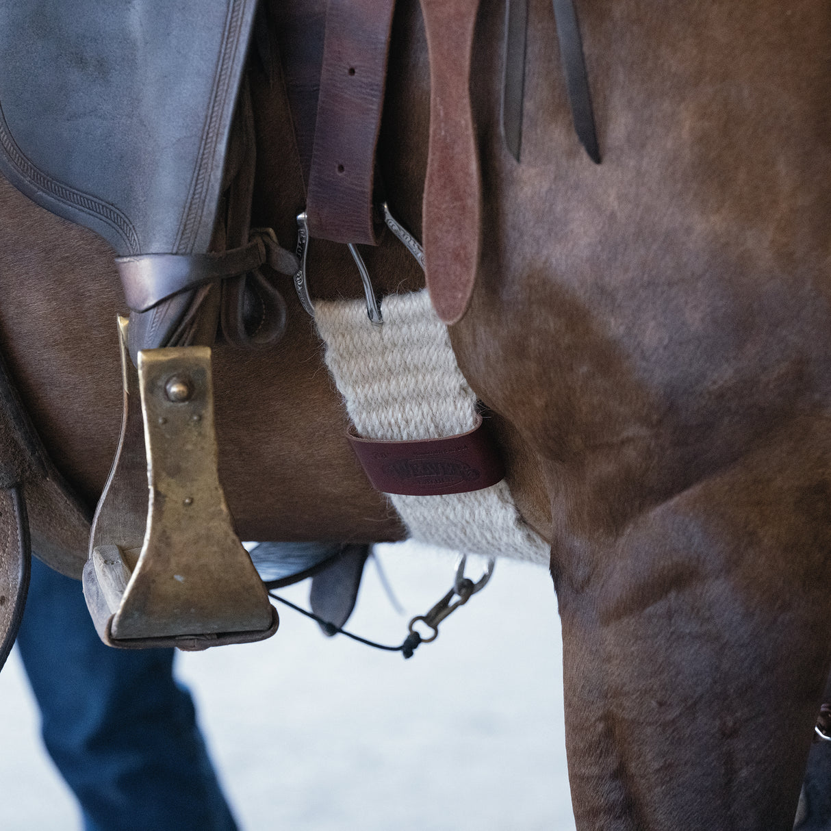 Mohair Blend 27 Strand Smart Cinch® with Roll Snug Buckle