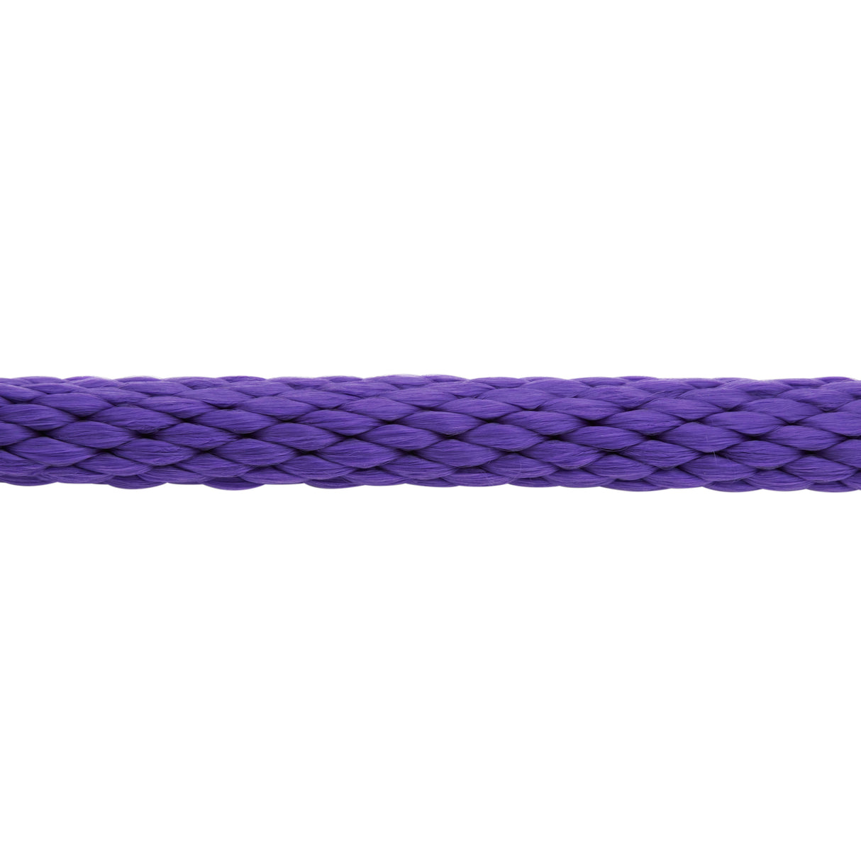 Poly Lead Rope with Nickel Plated Bull Snap