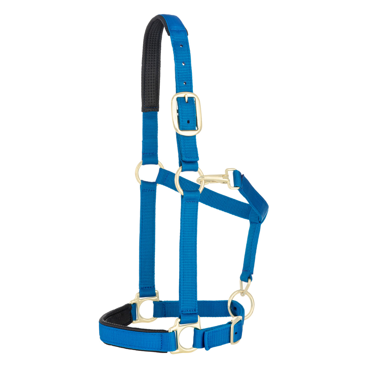 Padded Adjustable Chin and Throat Snap Halter, Solid Colors