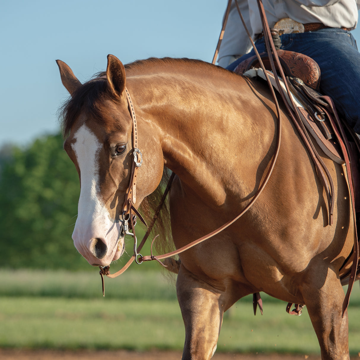 Working Tack Extra Heavy Harness Split Reins with Pineapple Knots, 5/8" x 8'