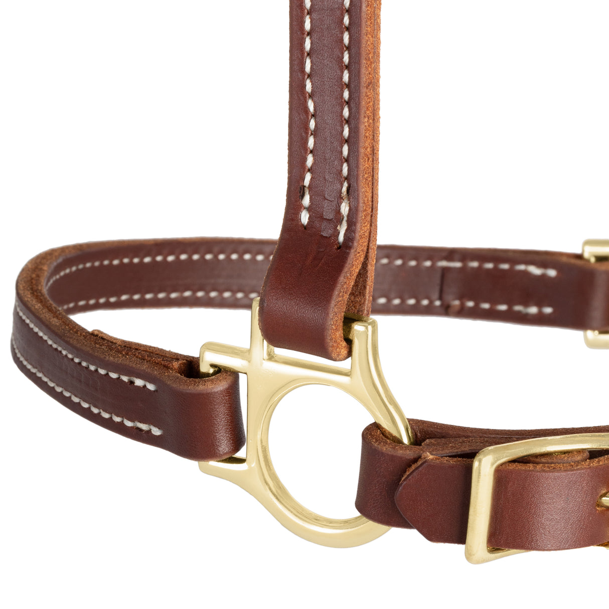 3/4" Track Halter, Mahogany