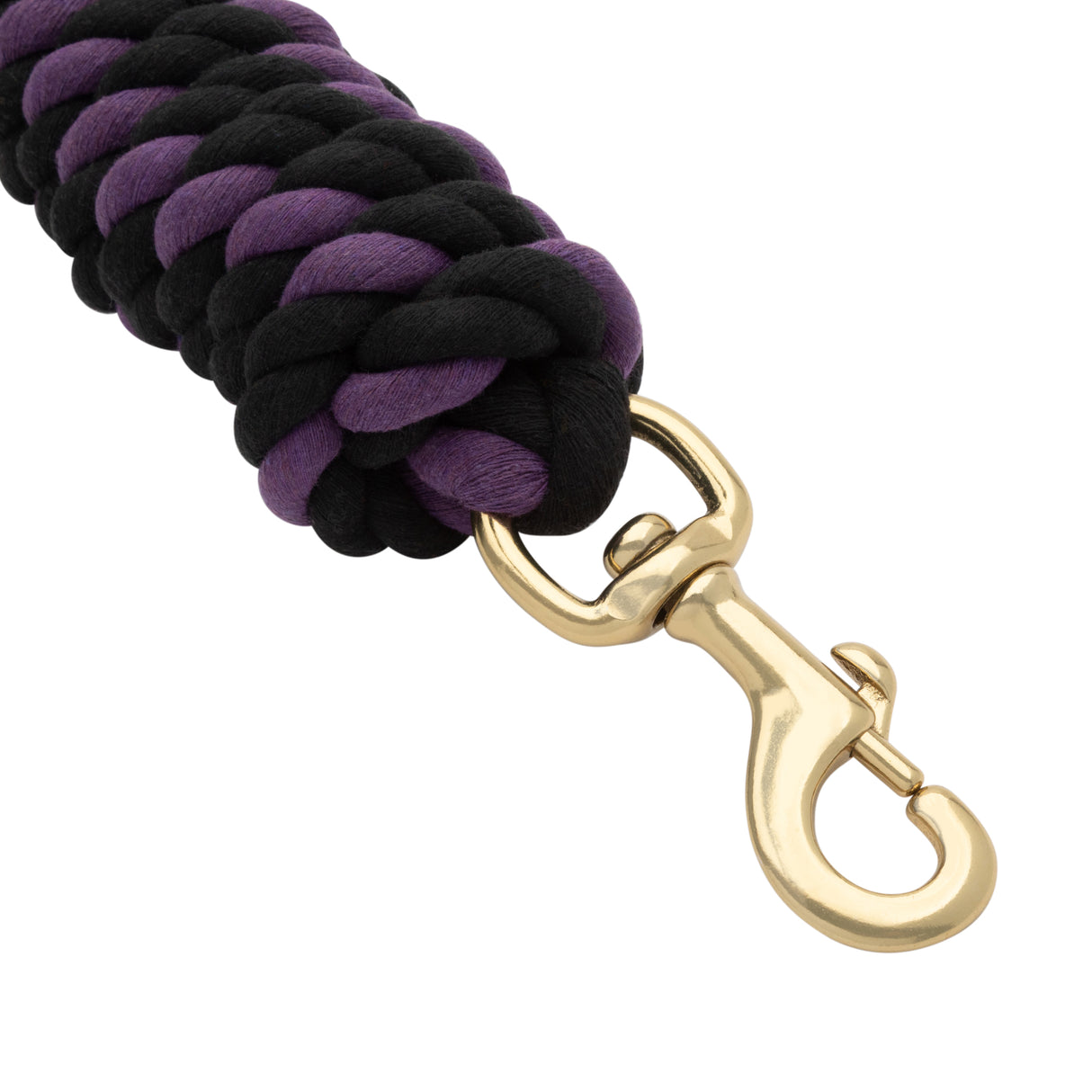 Cotton Lead Rope with Brass Plated 225 Snap, 5/8" x 10'