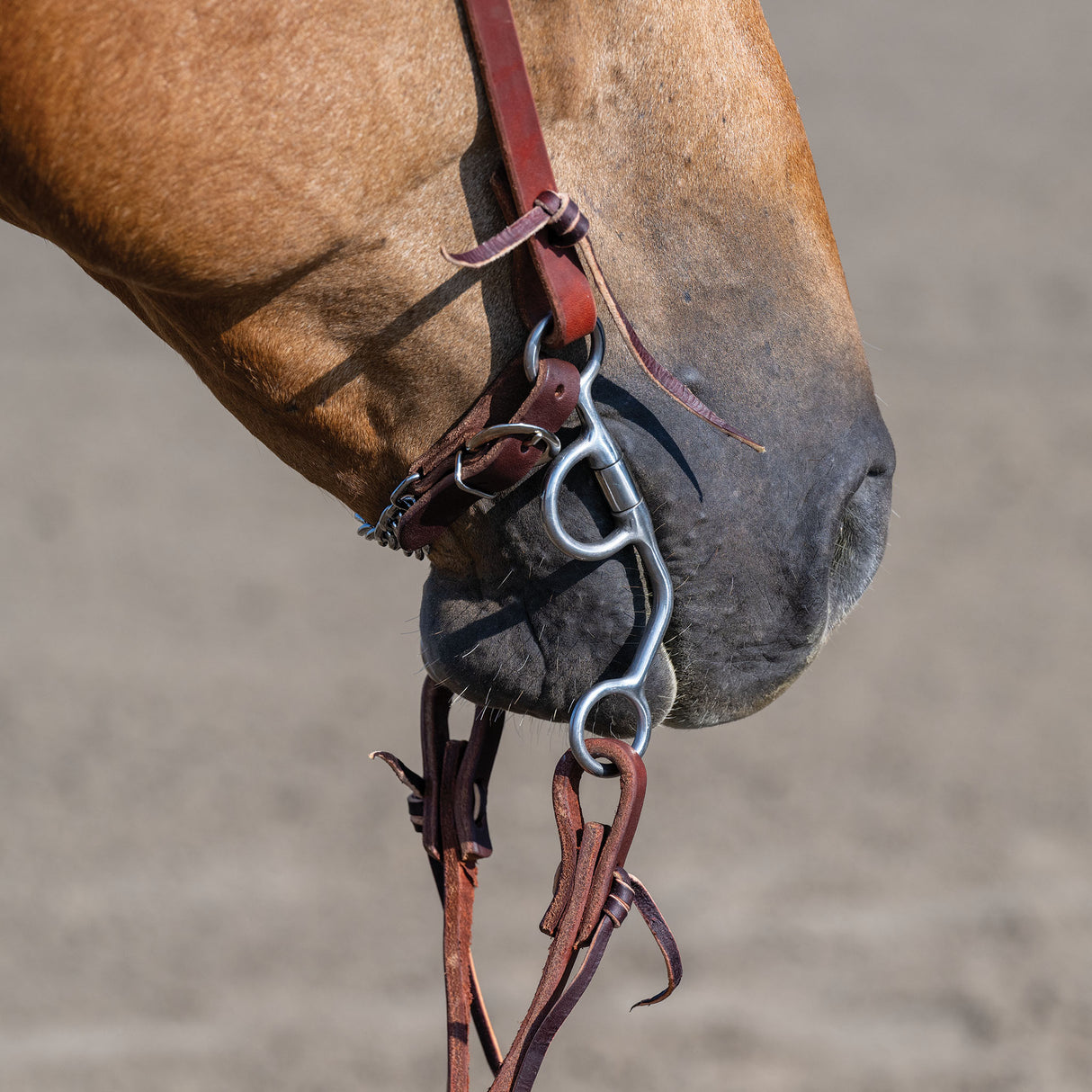 Professional Argentine Bit, 5" Sweet Iron Three-Piece Mouth