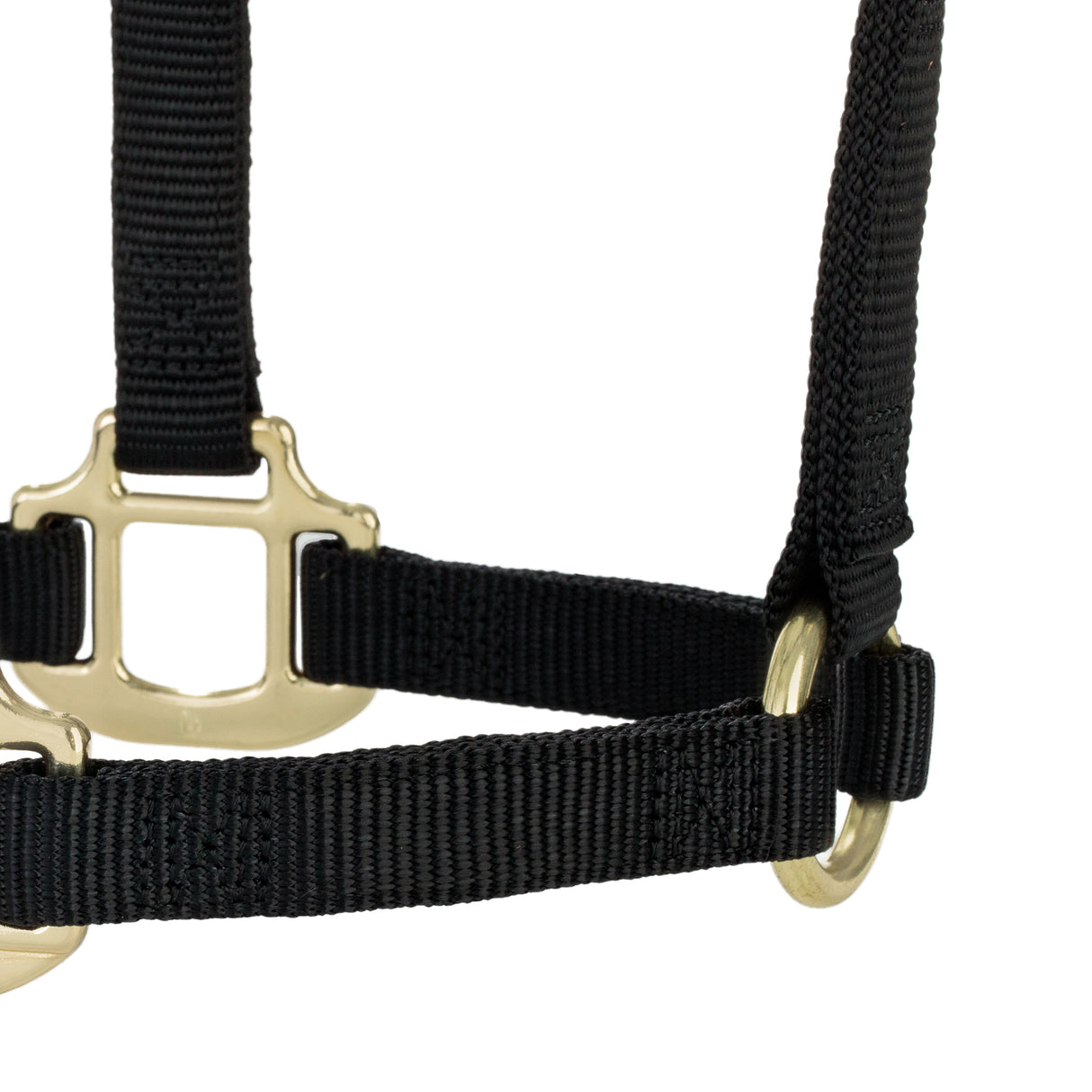 Original Non-Adjustable Halter, Weanling/Pony, 3/4"