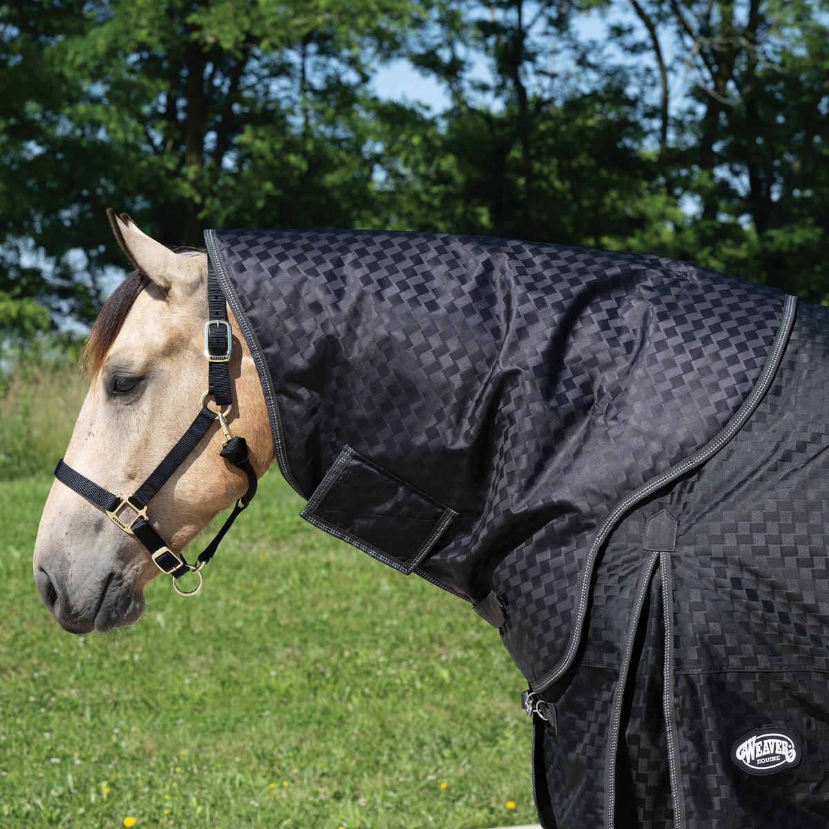 Premium Turnout Neck Cover, Medium Weight 200g, 1200D