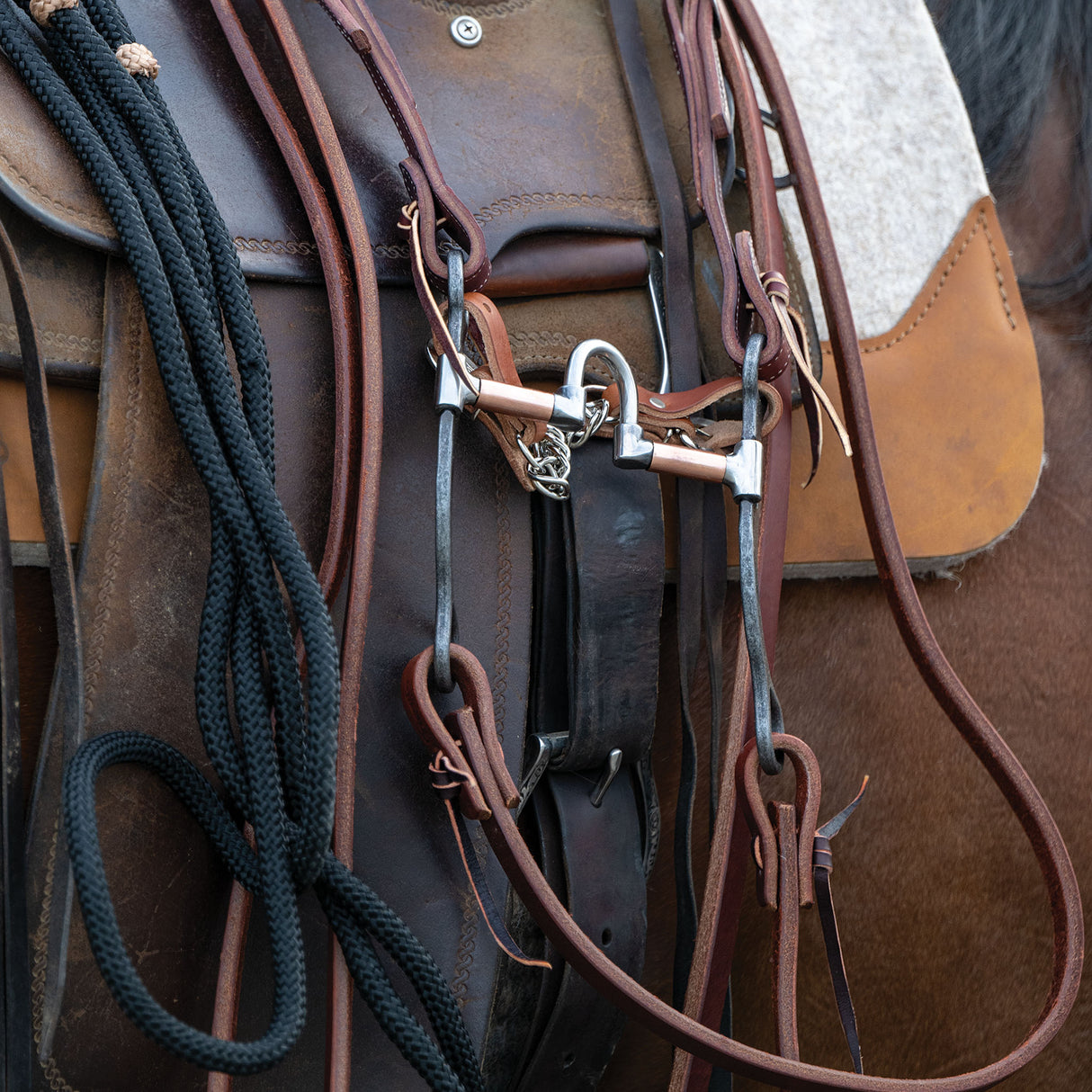 Professional Shank Bit, 5" Low Port Correction Mouth with Flat Copper Roller Bars