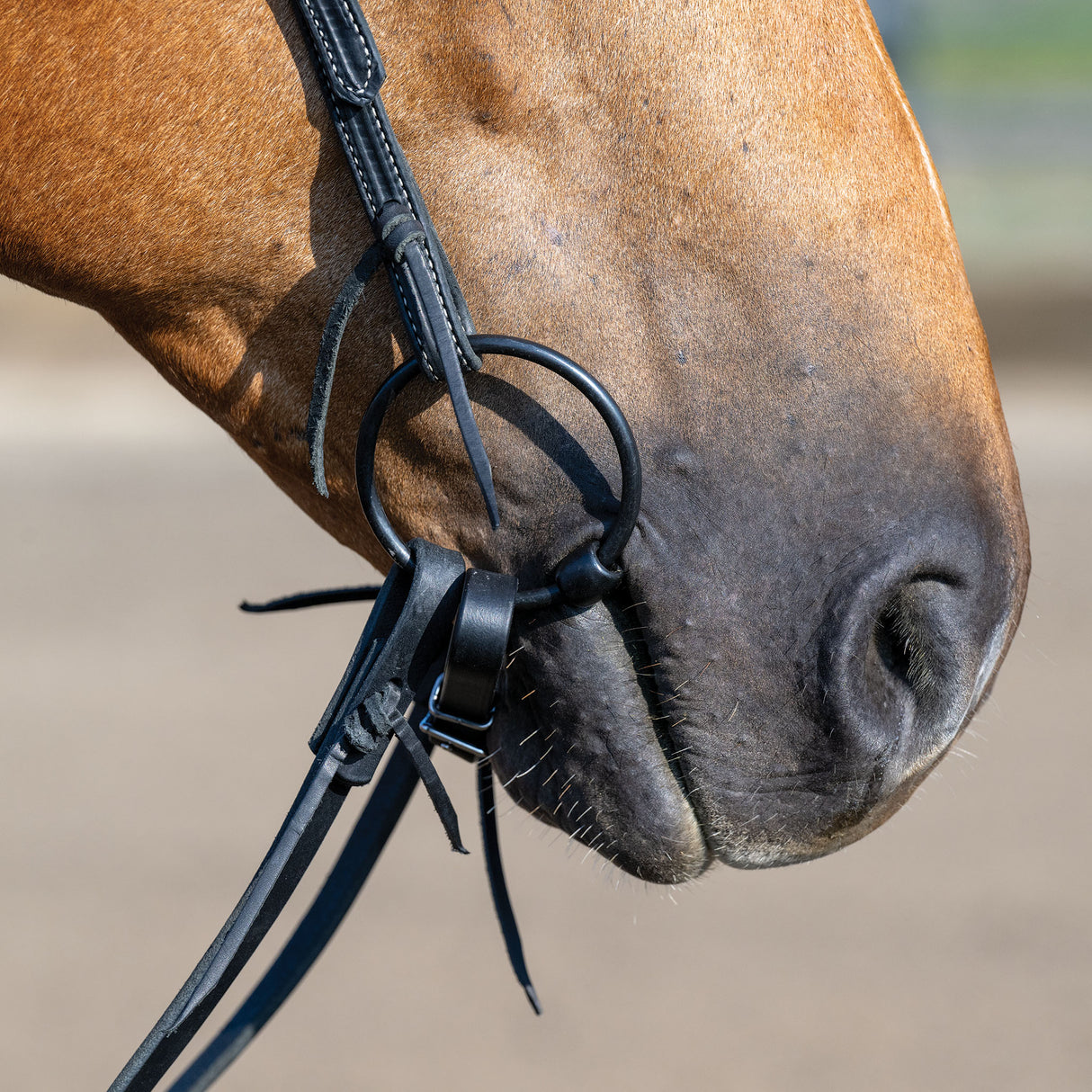 Ring Snaffle Bit with 5" Sweet Iron Dogbone Mouth with Copper Inlay