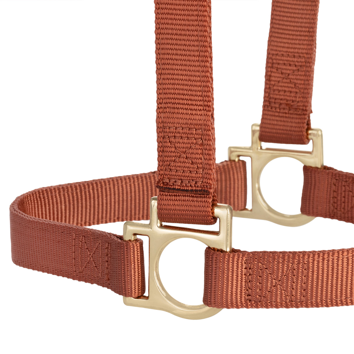 Basic Non-Adjustable Halter
