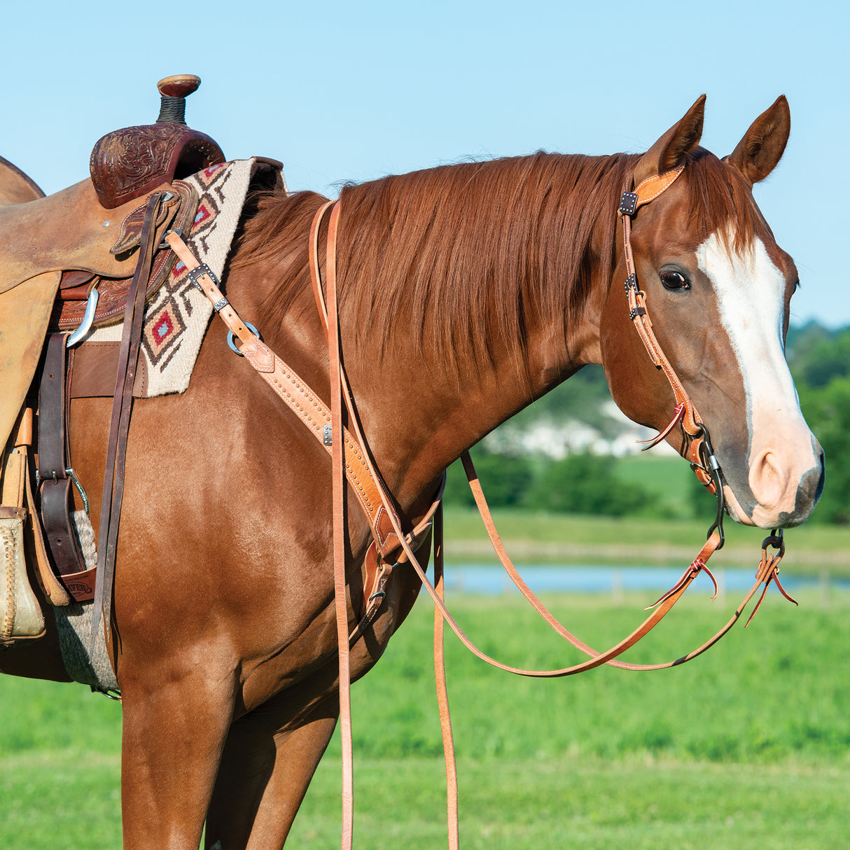 Professional Shank Bit, 5" Sweet Iron Medium Port Mouth with Copper Inlay