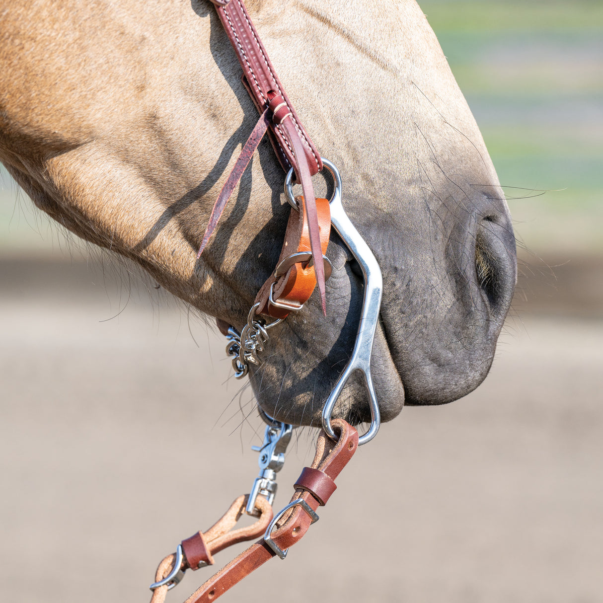 All Purpose Bit, 5-1/2" Medium Port Copper Mouth