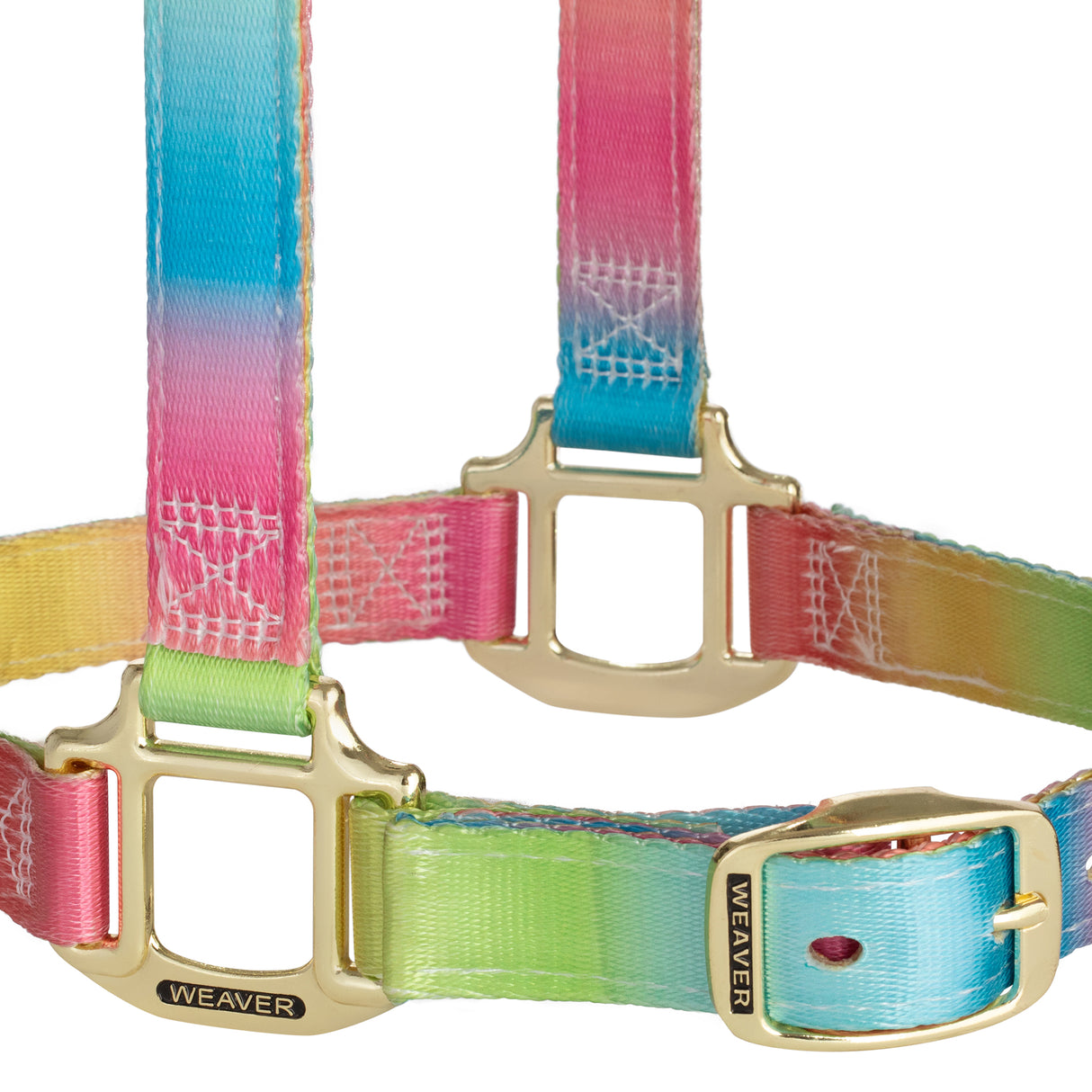 Rainbow Adjustable Polyester Halter, 1"
