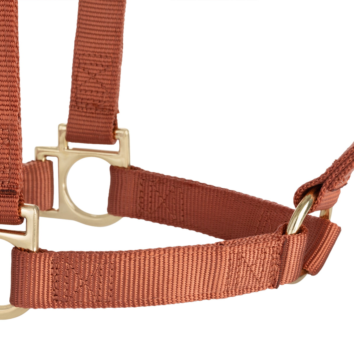 Basic Non-Adjustable Halter