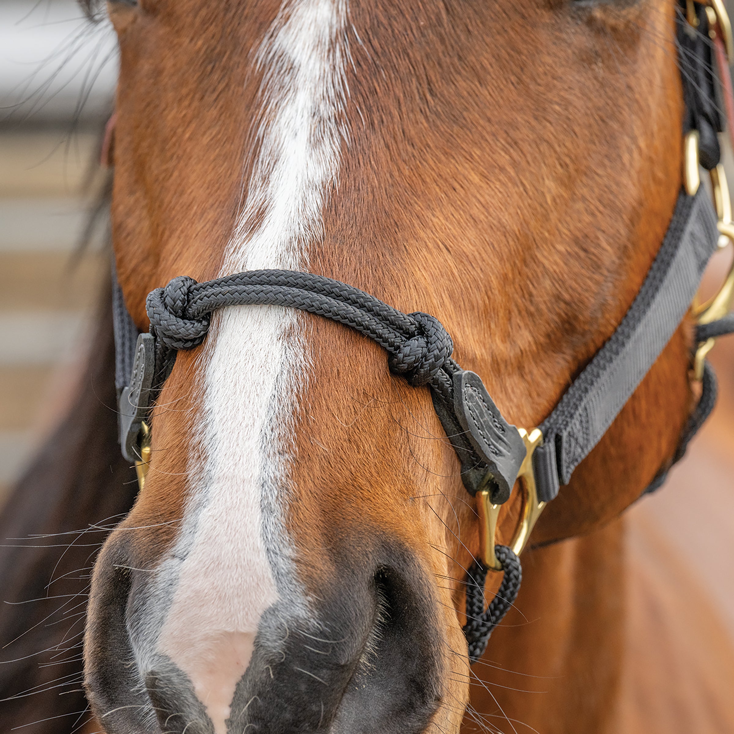Kalley Krickeberg Breakaway Horseman's Halter, Nylon, Leather & Rope Combination Horse Halter