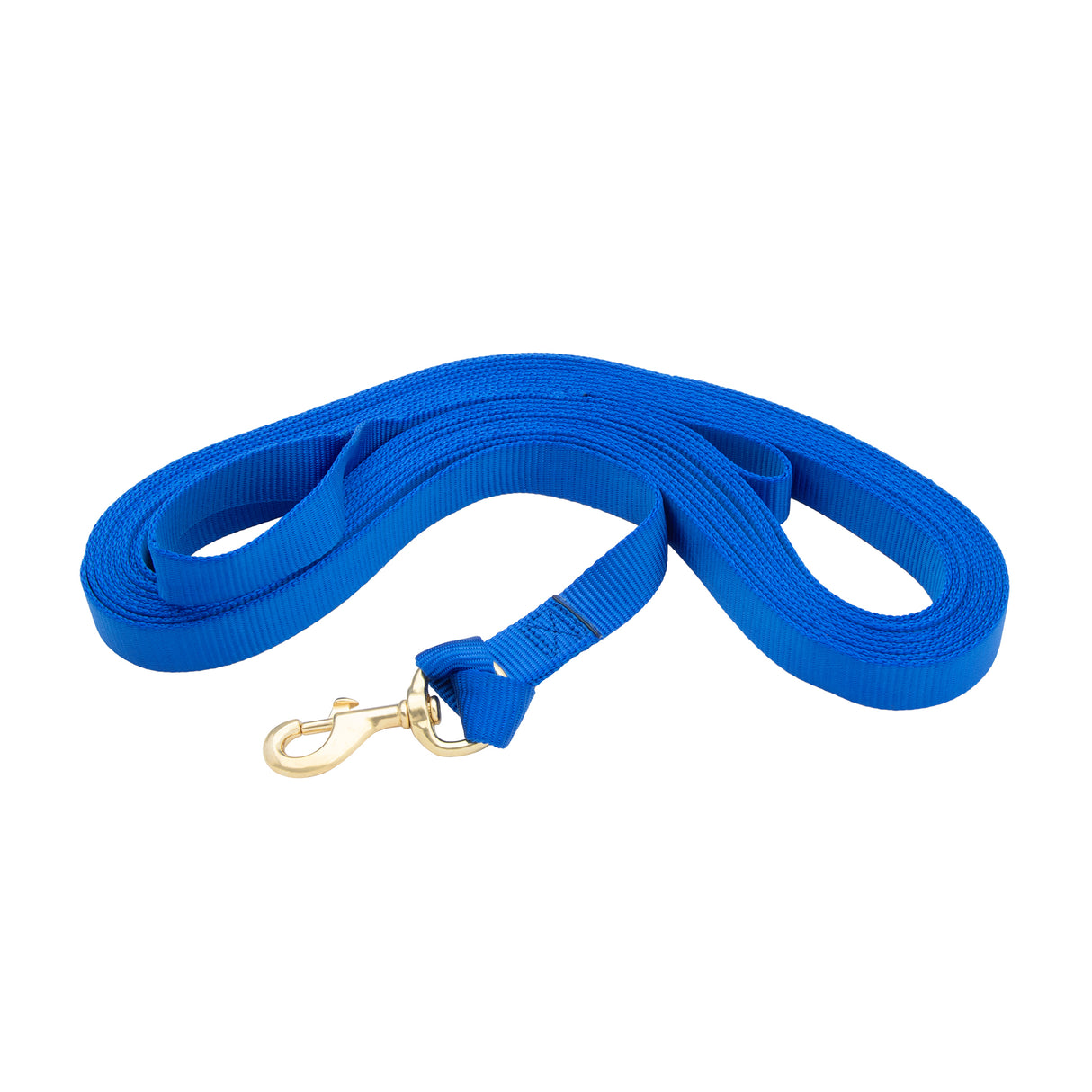 Flat Nylon Lunge Line, 1" x 30 with Snap