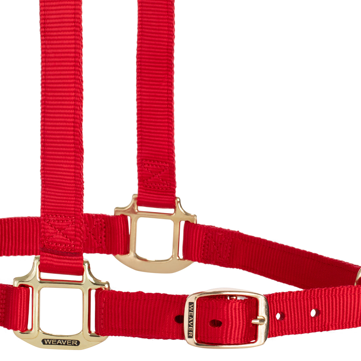 Original Adjustable Chin and Throat Snap Halter, 1" Draft