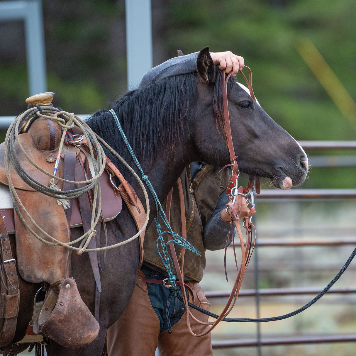 Ken McNabb Lifter Bit, 5-1/4” 3-Piece Lifesaver Mouth, 7” Cheeks