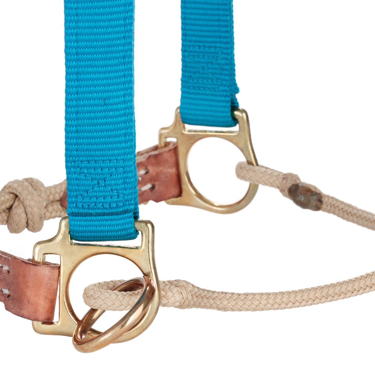 Kalley Krickeberg Nylon & Rope Combination Horseman's Halter with Side Ring