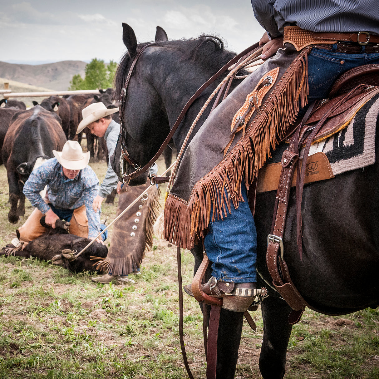 Basin Cowboy Spur Straps, Cowboy