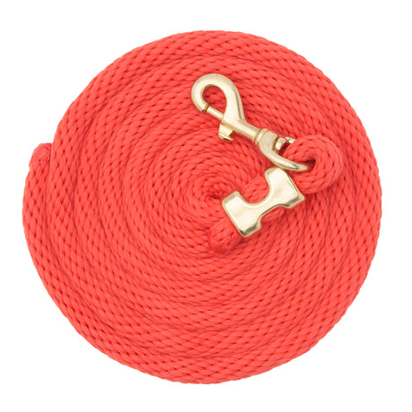 Mini/Pony Lead with Brass Snap