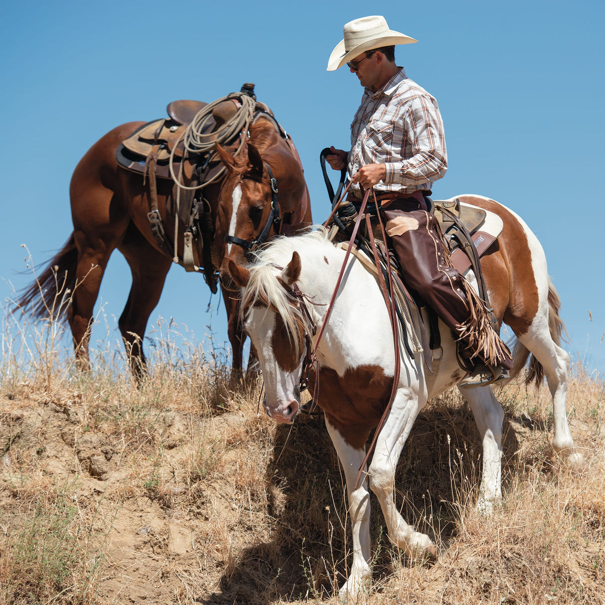 Premium Western Leather Chaps