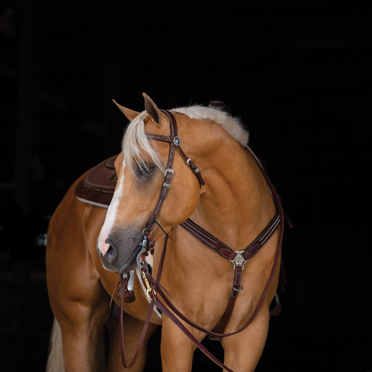 Austin Browband Headstall