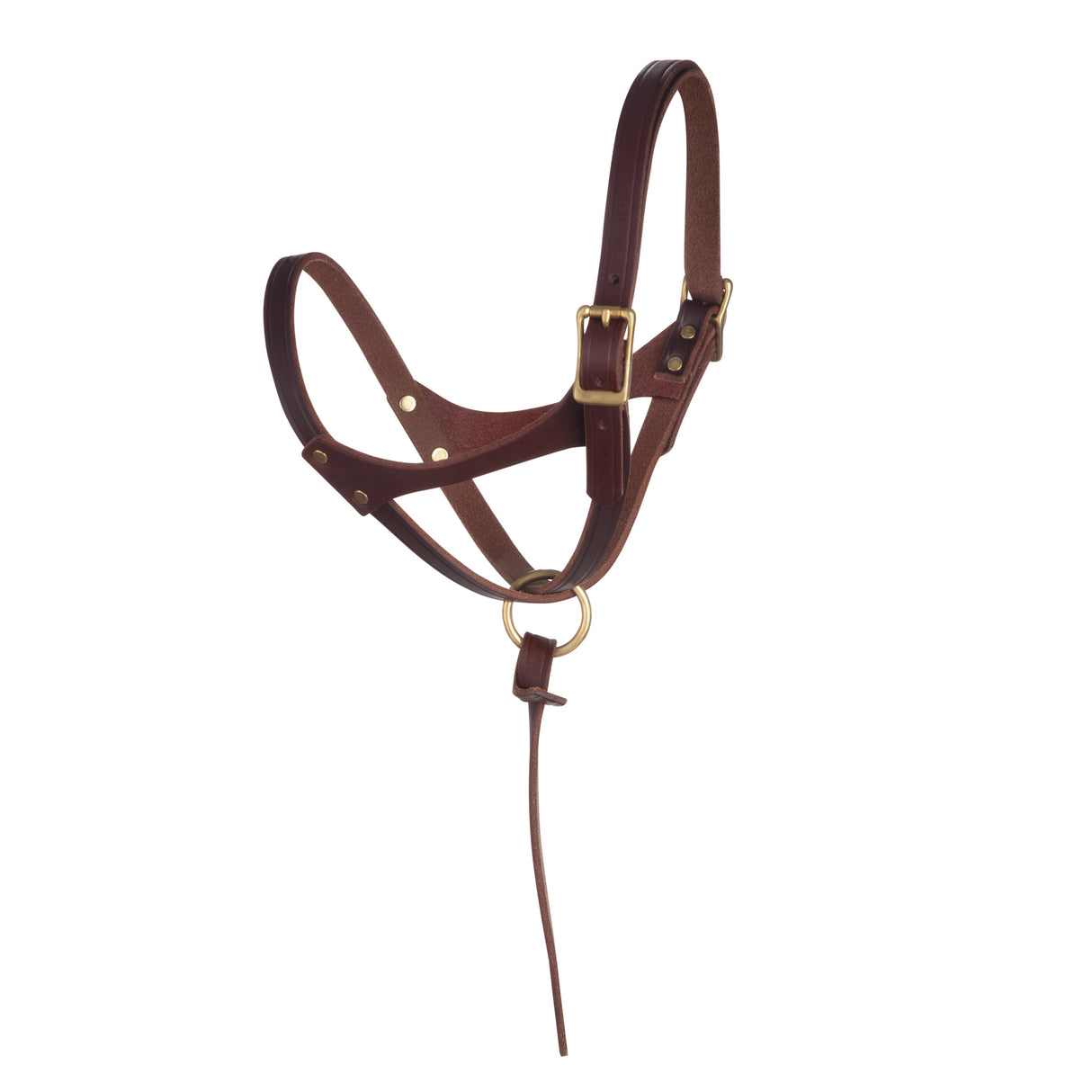 Figure 8 Foal Halter, Suckling
