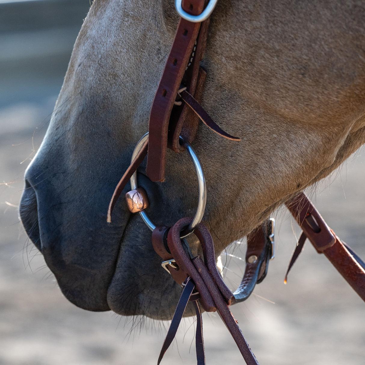 Professional Ring Snaffle Bit, 5" Copper Mouth