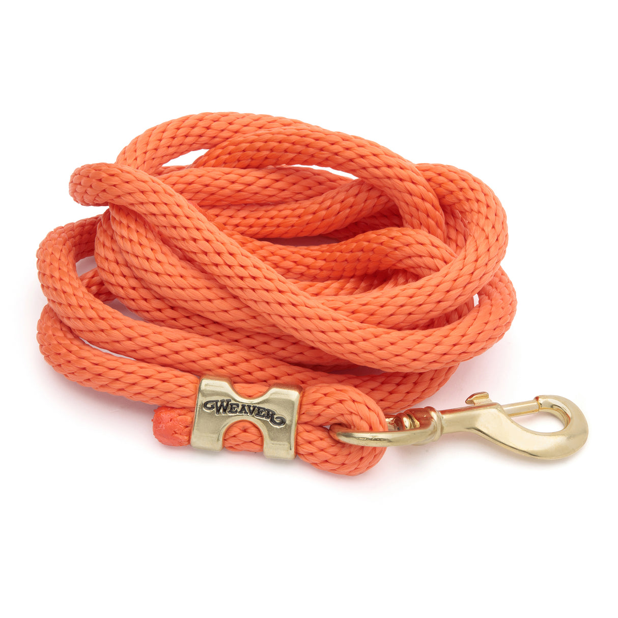 Poly Lead Rope with a Solid Brass 225 Snap