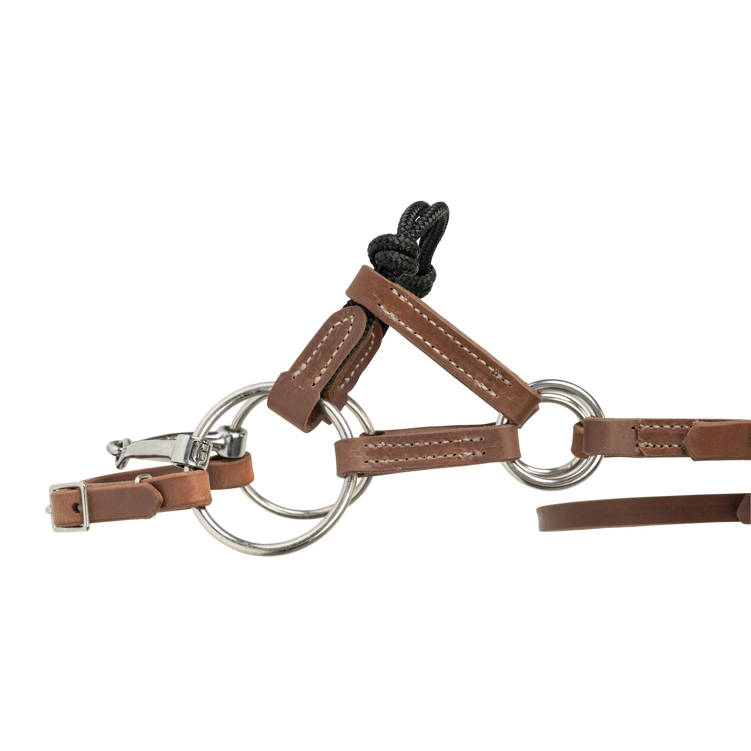 Kalley Krickeberg Horseman's Bridle for Transition from Bitless to Snaffle Bit