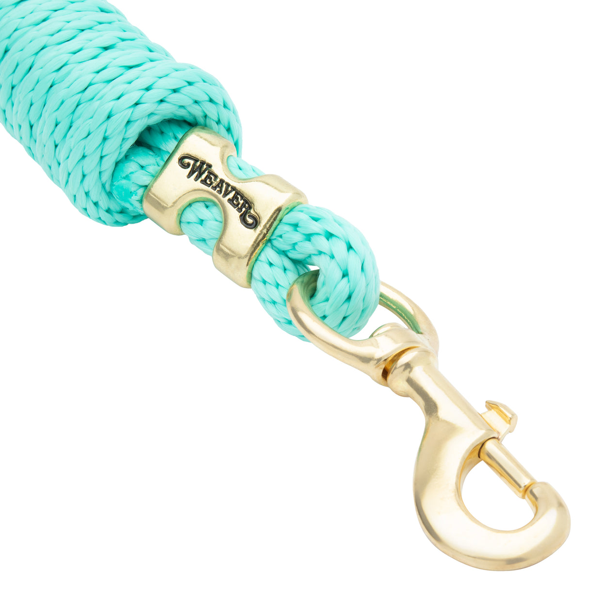 Poly Lead Rope with a Solid Brass 225 Snap
