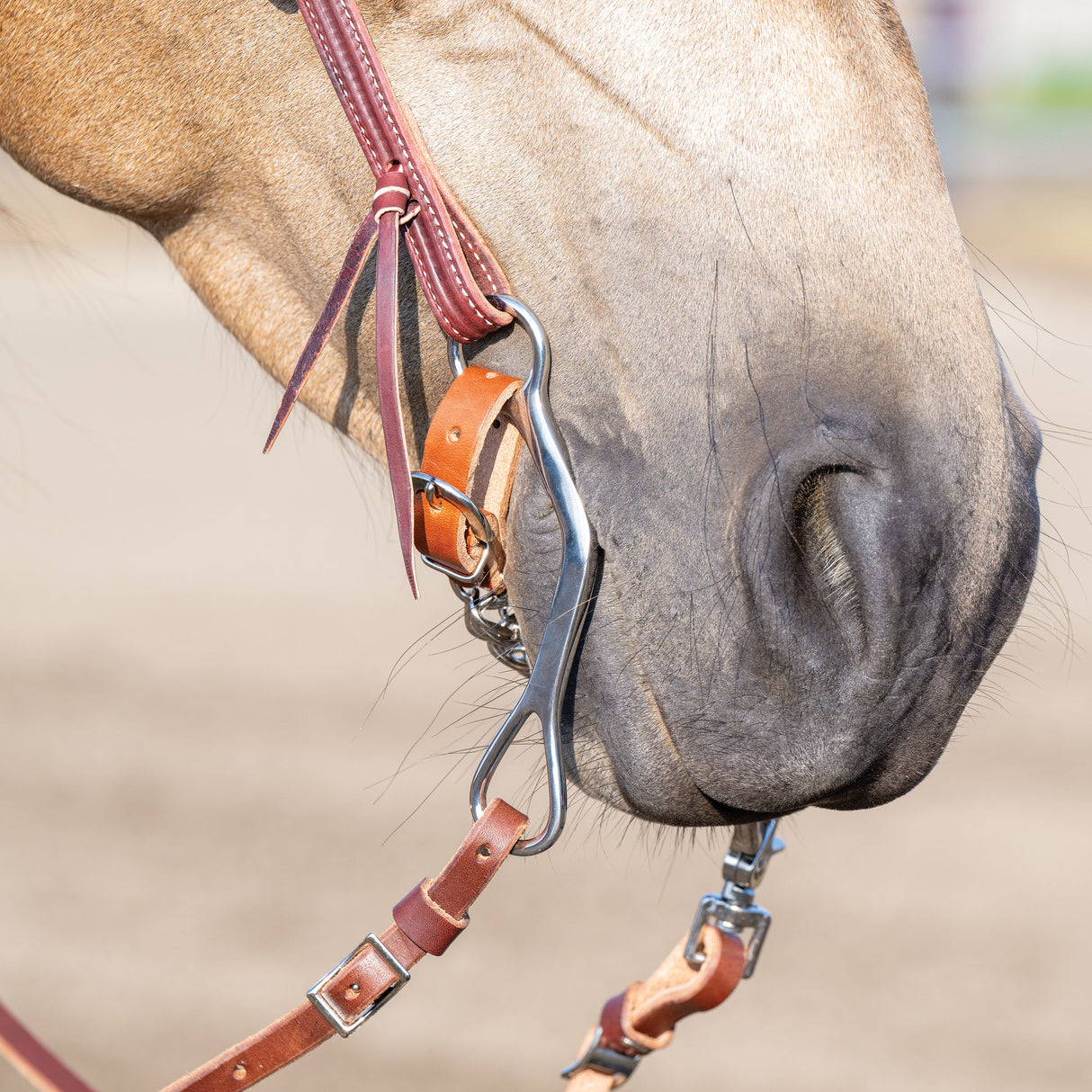 All Purpose Bit, 5-1/2" Medium Port Copper Mouth