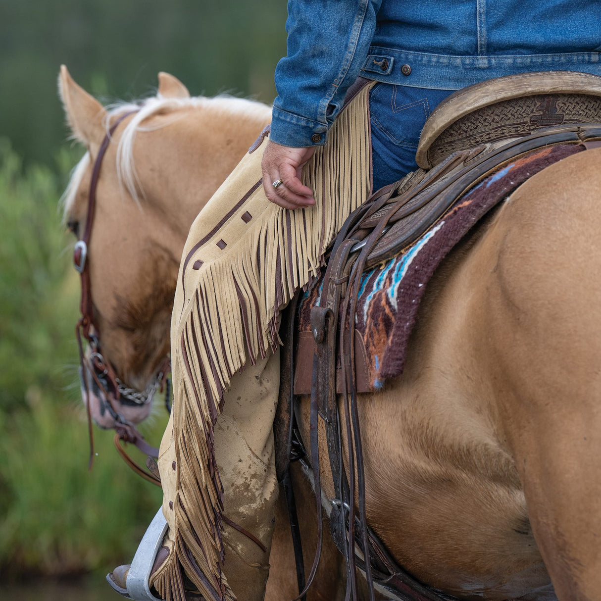 Premium Western Leather Chaps