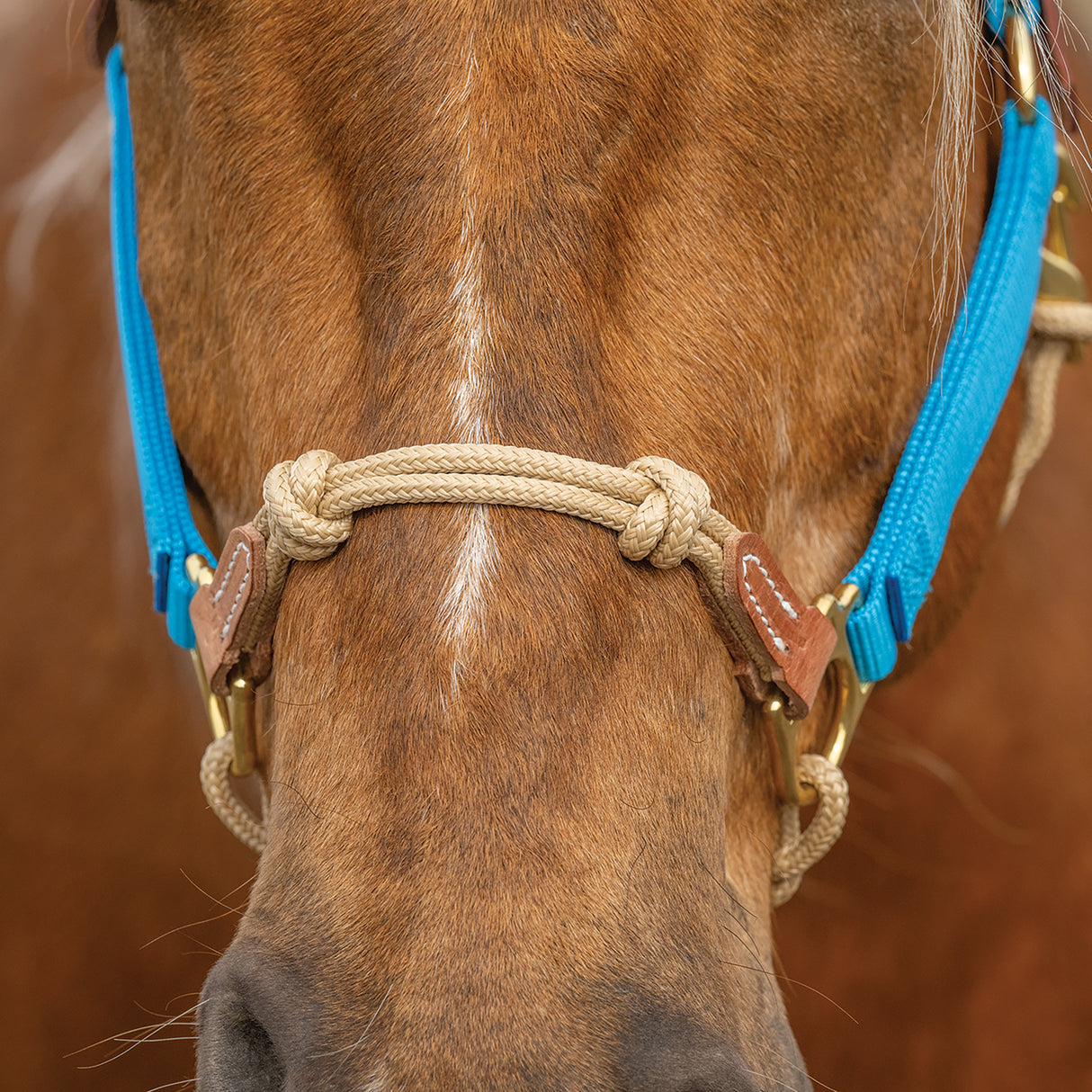 Kalley Krickeberg Breakaway Horseman's Halter, Nylon, Leather & Rope Combination Horse Halter