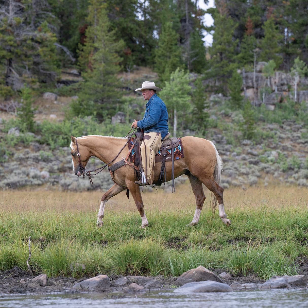 Premium Western Leather Chaps