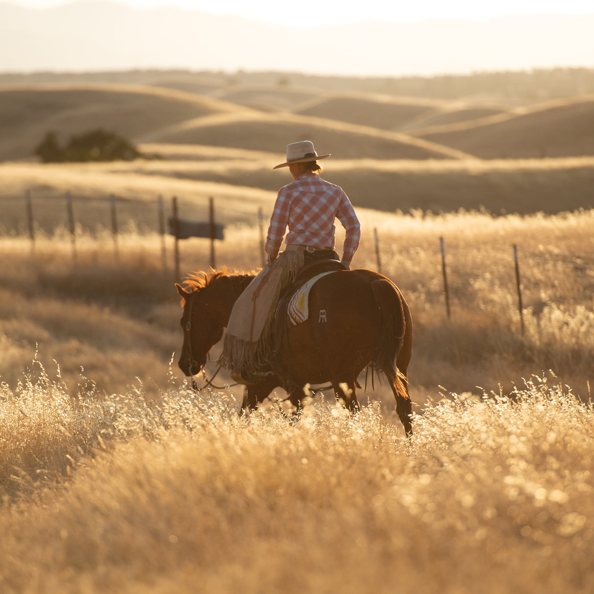 ProTack® Extra Heavy Harness Split Reins